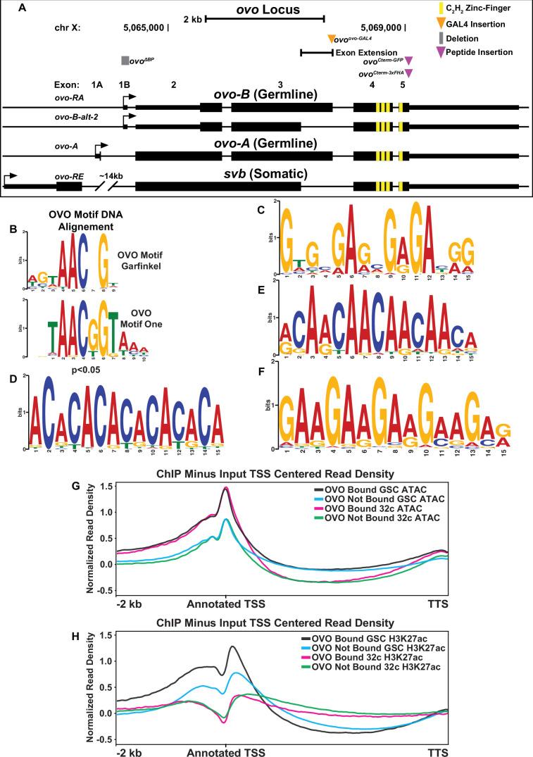 https://cdn.ncbi.nlm.nih.gov/pmc/blobs/7836/11410370/128d7da5c77e/elife-94631-fig1-figsupp1.jpg