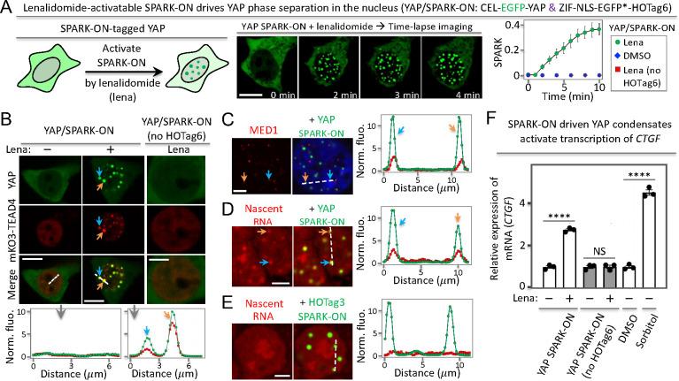 https://cdn.ncbi.nlm.nih.gov/pmc/blobs/7839/10375881/9e66f07a6869/oc3c00251_0004.jpg