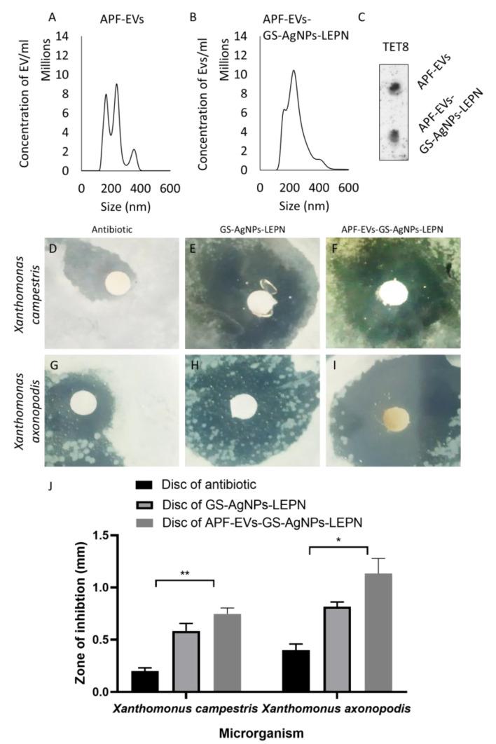 https://cdn.ncbi.nlm.nih.gov/pmc/blobs/7843/10146377/962a7014a844/nanomaterials-13-01306-g006.jpg