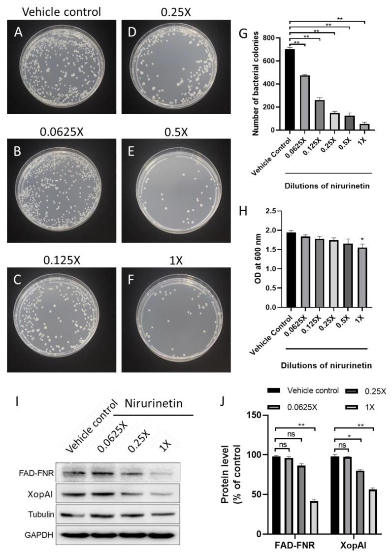 https://cdn.ncbi.nlm.nih.gov/pmc/blobs/7843/10146377/b713bb71cd09/nanomaterials-13-01306-g007.jpg