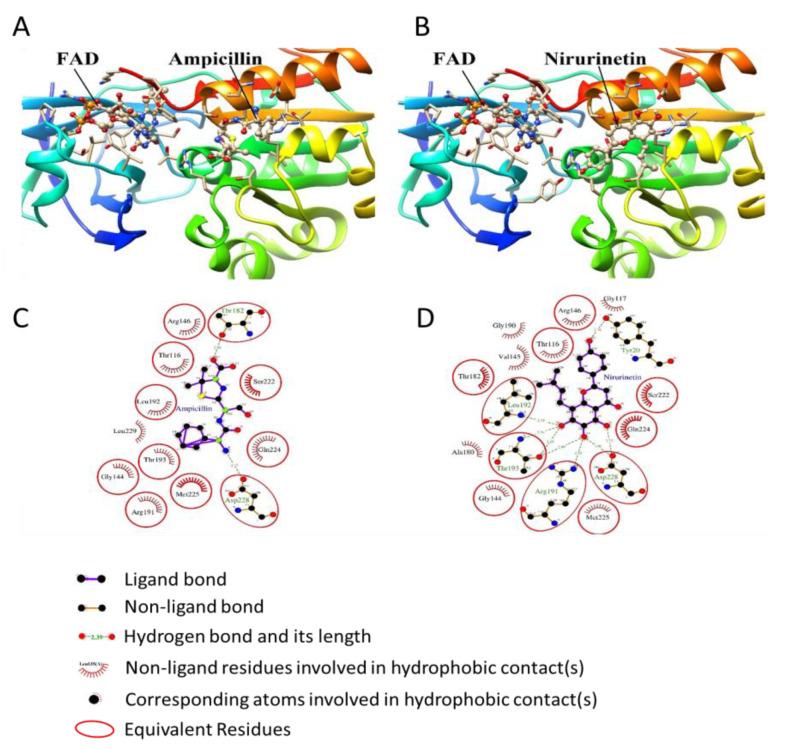 https://cdn.ncbi.nlm.nih.gov/pmc/blobs/7843/10146377/d871e49e09b0/nanomaterials-13-01306-g004.jpg