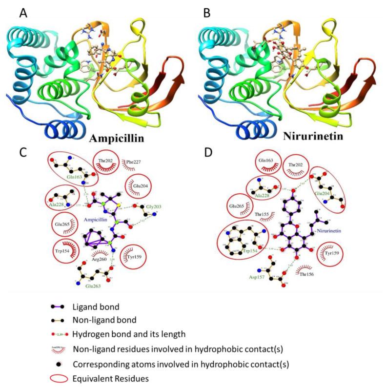 https://cdn.ncbi.nlm.nih.gov/pmc/blobs/7843/10146377/e1362ed5fc8f/nanomaterials-13-01306-g005.jpg