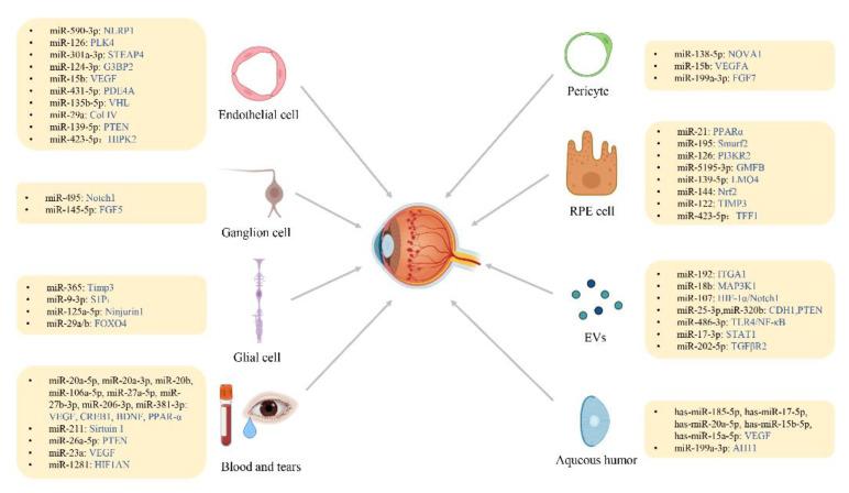 https://cdn.ncbi.nlm.nih.gov/pmc/blobs/789a/9775338/986604c5196d/biomolecules-12-01774-g002.jpg