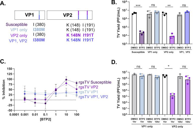 https://cdn.ncbi.nlm.nih.gov/pmc/blobs/78af/12172428/9429f8659351/jvi.00444-25.f006.jpg