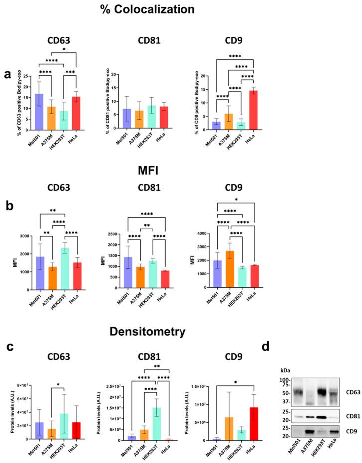 https://cdn.ncbi.nlm.nih.gov/pmc/blobs/78b9/12249355/66a688c7ec8a/cells-14-00989-g005.jpg