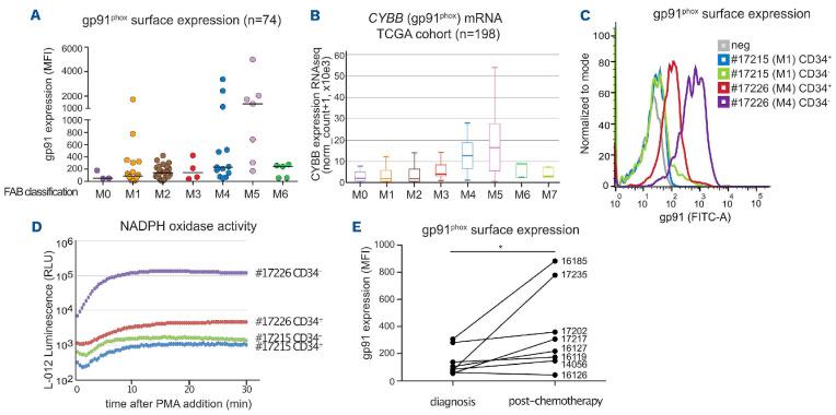 https://cdn.ncbi.nlm.nih.gov/pmc/blobs/78be/9614539/b49a18c26384/1072562.fig5.jpg