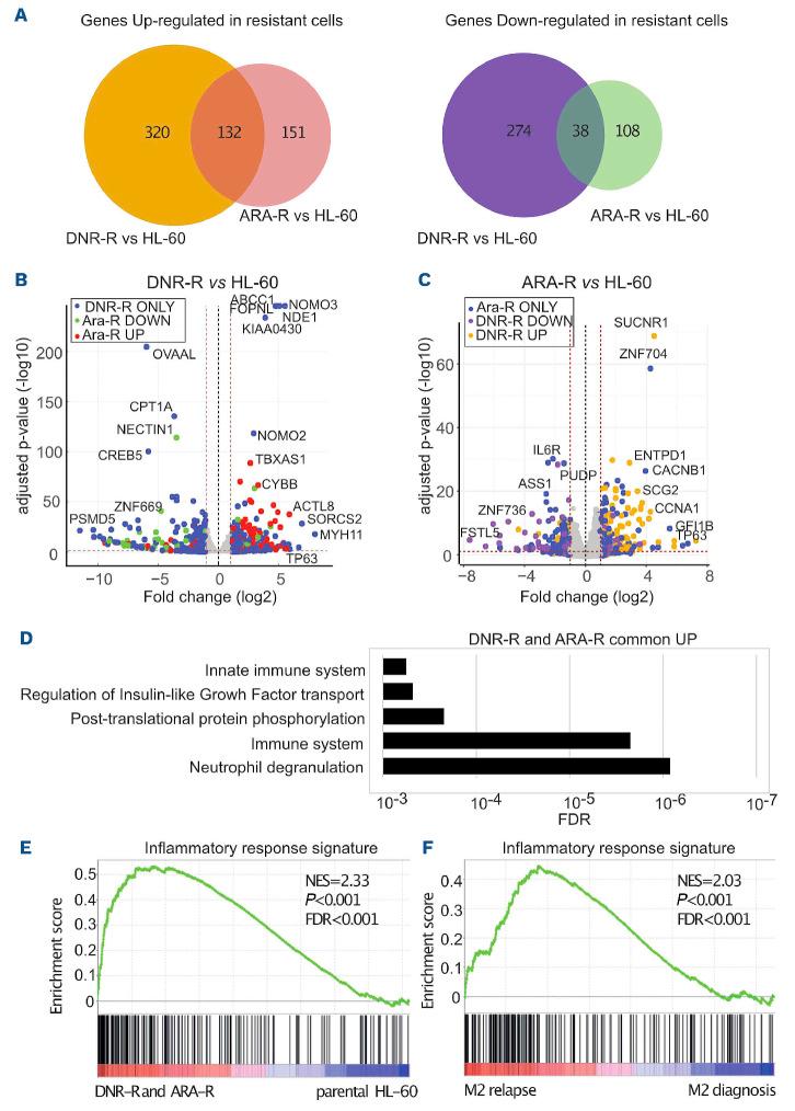 https://cdn.ncbi.nlm.nih.gov/pmc/blobs/78be/9614539/c516b0360130/1072562.fig1.jpg