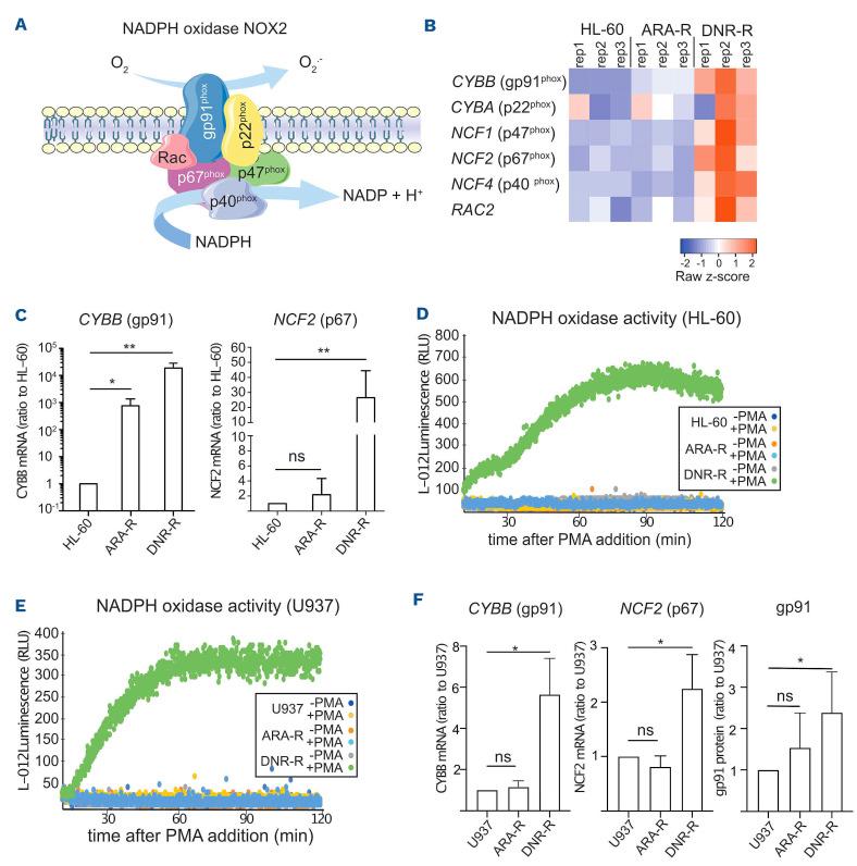 https://cdn.ncbi.nlm.nih.gov/pmc/blobs/78be/9614539/fcac6e2d534c/1072562.fig2.jpg