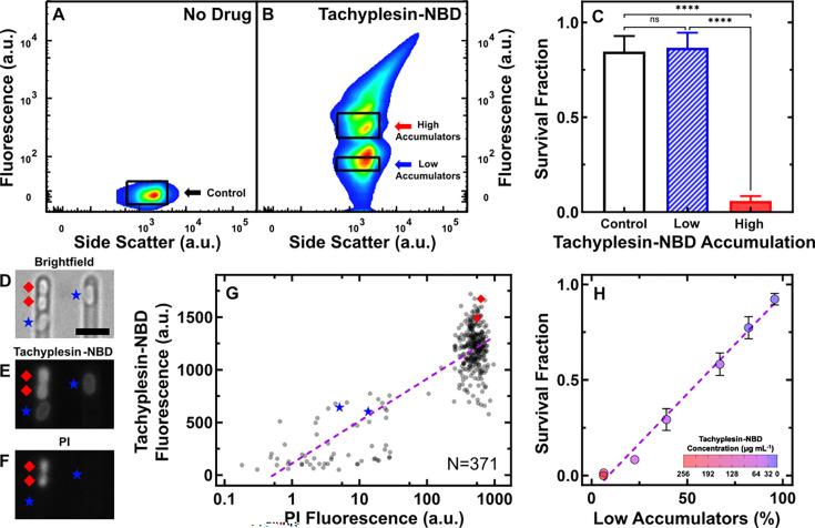 https://cdn.ncbi.nlm.nih.gov/pmc/blobs/78dc/12226021/13780fd4d324/elife-99752-fig2.jpg