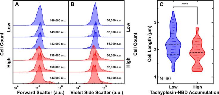 https://cdn.ncbi.nlm.nih.gov/pmc/blobs/78dc/12226021/502b18b303e8/elife-99752-fig1-figsupp7.jpg