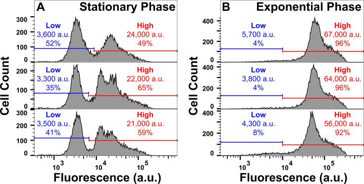 https://cdn.ncbi.nlm.nih.gov/pmc/blobs/78dc/12226021/6dfbee823580/elife-99752-fig1-figsupp2.jpg
