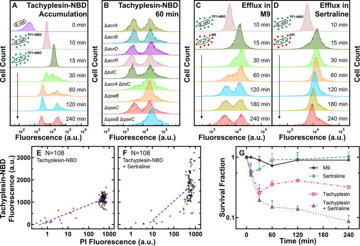 https://cdn.ncbi.nlm.nih.gov/pmc/blobs/78dc/12226021/74f837dba34f/elife-99752-fig4.jpg