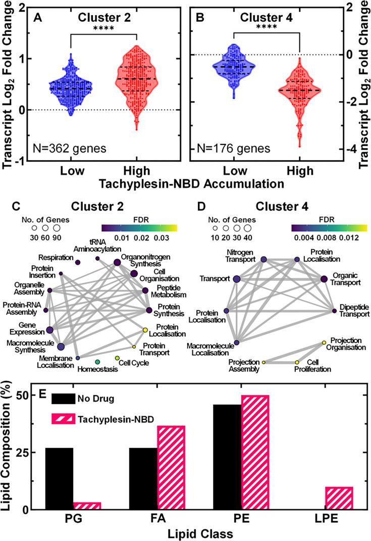 https://cdn.ncbi.nlm.nih.gov/pmc/blobs/78dc/12226021/9278e036540d/elife-99752-fig3.jpg