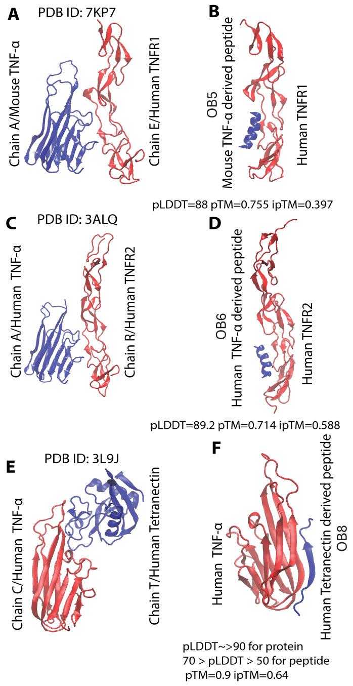 https://cdn.ncbi.nlm.nih.gov/pmc/blobs/78e4/12024540/e07a3364b413/biomolecules-15-00559-g001.jpg