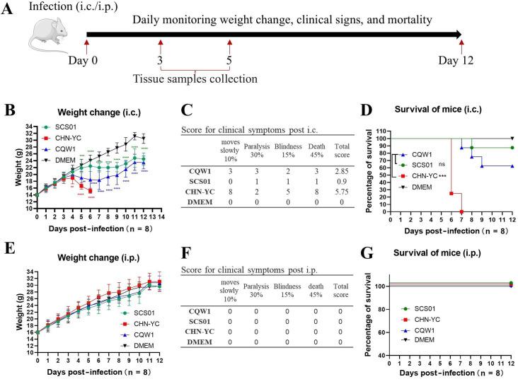 https://cdn.ncbi.nlm.nih.gov/pmc/blobs/78ee/12172445/9532961cc460/jvi.00308-25.f001.jpg