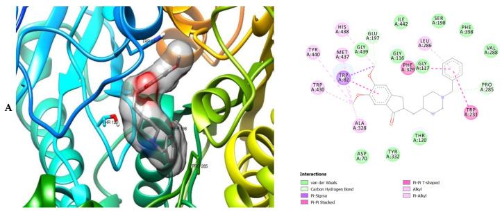https://cdn.ncbi.nlm.nih.gov/pmc/blobs/7905/8037217/4c44df2f7265/molecules-26-01996-g006a.jpg