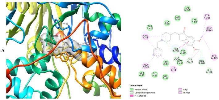 https://cdn.ncbi.nlm.nih.gov/pmc/blobs/7905/8037217/a64400fcf796/molecules-26-01996-g007a.jpg