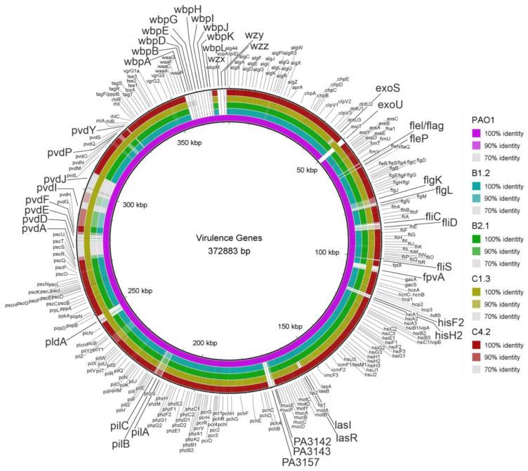 https://cdn.ncbi.nlm.nih.gov/pmc/blobs/793b/9781345/983b6c39a3bb/microorganisms-10-02508-g007.jpg