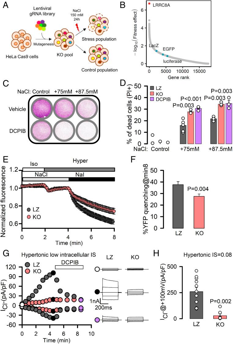https://cdn.ncbi.nlm.nih.gov/pmc/blobs/7958/8201826/16c98f8cdbd4/pnas.2025013118fig01.jpg