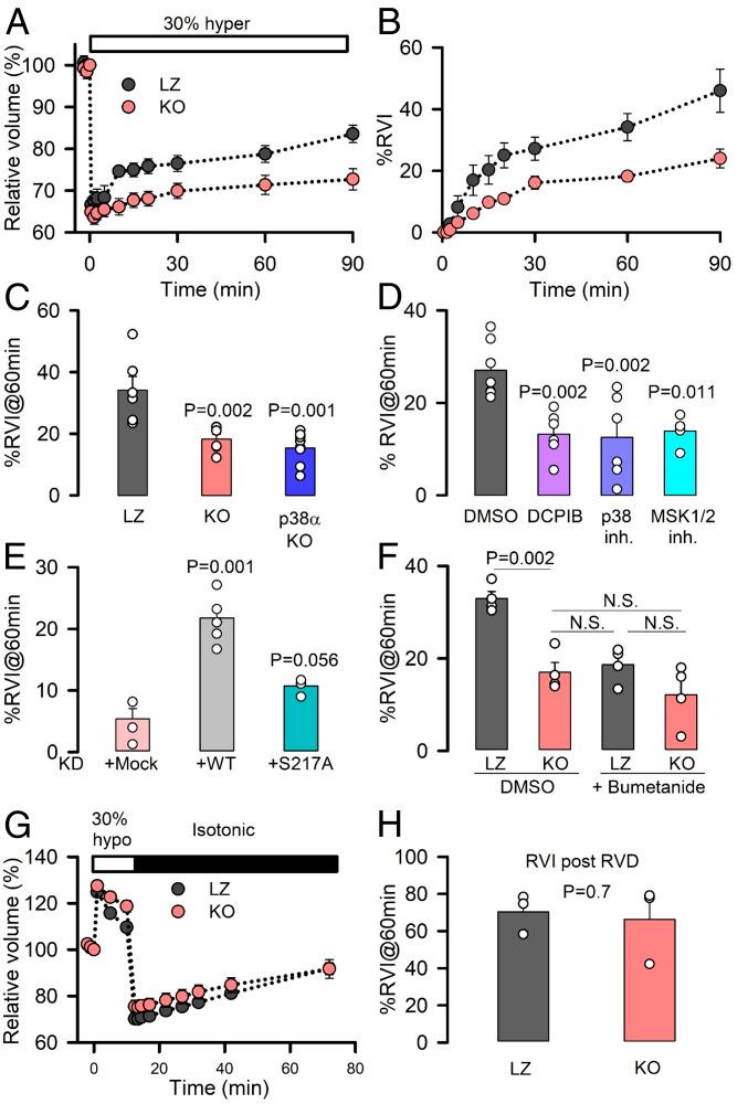 https://cdn.ncbi.nlm.nih.gov/pmc/blobs/7958/8201826/2874054bb6d1/pnas.2025013118fig03.jpg