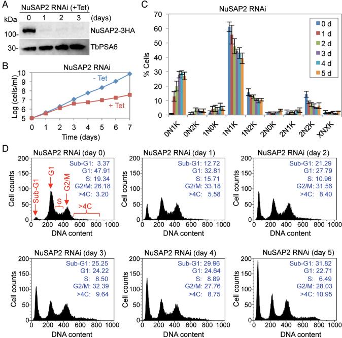 https://cdn.ncbi.nlm.nih.gov/pmc/blobs/7968/6144804/8e36ff868036/gky557fig8.jpg