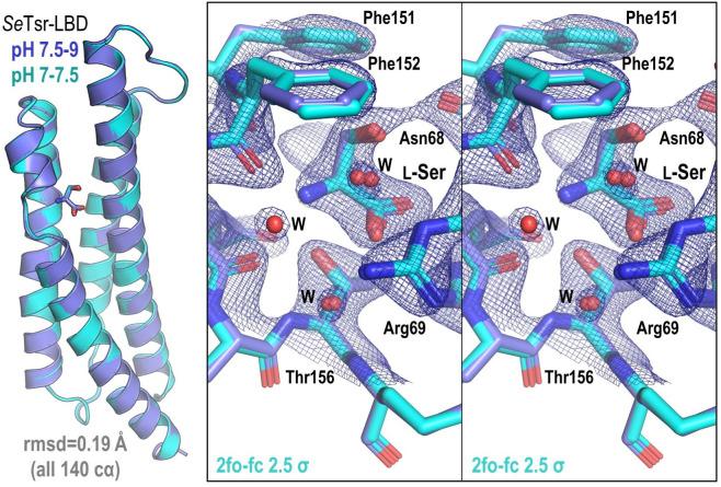 https://cdn.ncbi.nlm.nih.gov/pmc/blobs/7971/11142651/602d35e8a201/elife-93178-fig7-figsupp1.jpg