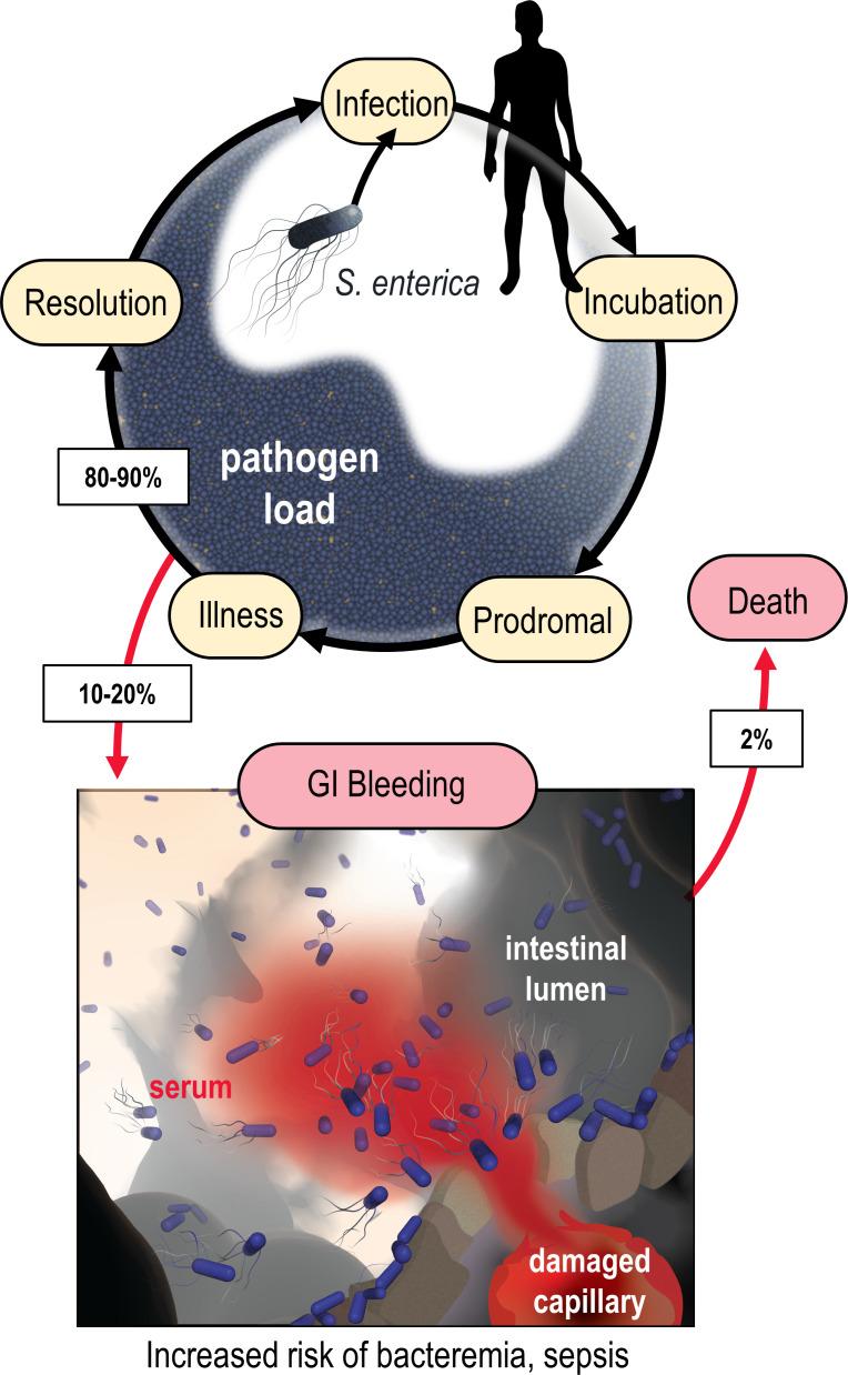 https://cdn.ncbi.nlm.nih.gov/pmc/blobs/7971/11142651/b41b9aa5d3f3/elife-93178-fig1.jpg