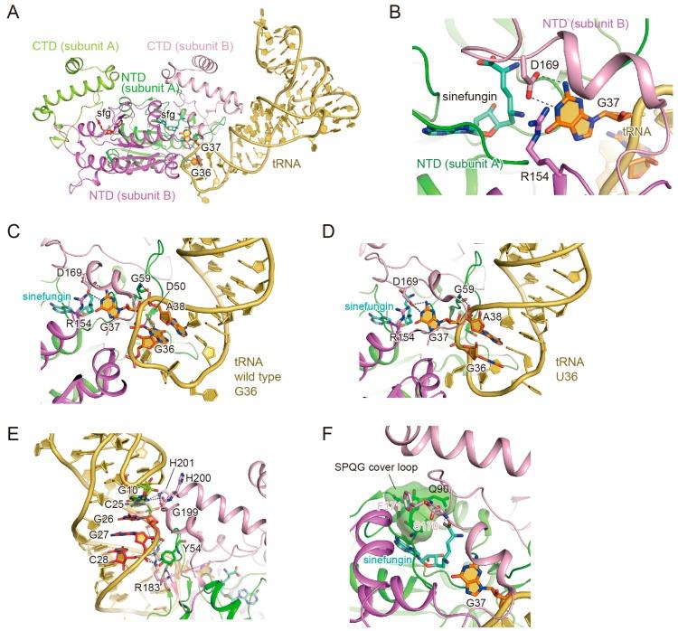 https://cdn.ncbi.nlm.nih.gov/pmc/blobs/797a/5372744/1831688f9d90/biomolecules-07-00032-g002.jpg