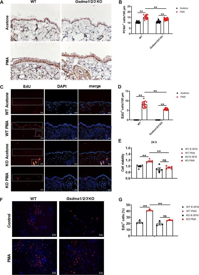 https://cdn.ncbi.nlm.nih.gov/pmc/blobs/797c/11253210/3b42d1c42296/mjad080fig4.jpg