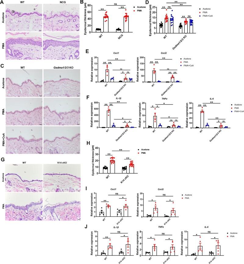 https://cdn.ncbi.nlm.nih.gov/pmc/blobs/797c/11253210/b59a93cc2027/mjad080fig3.jpg