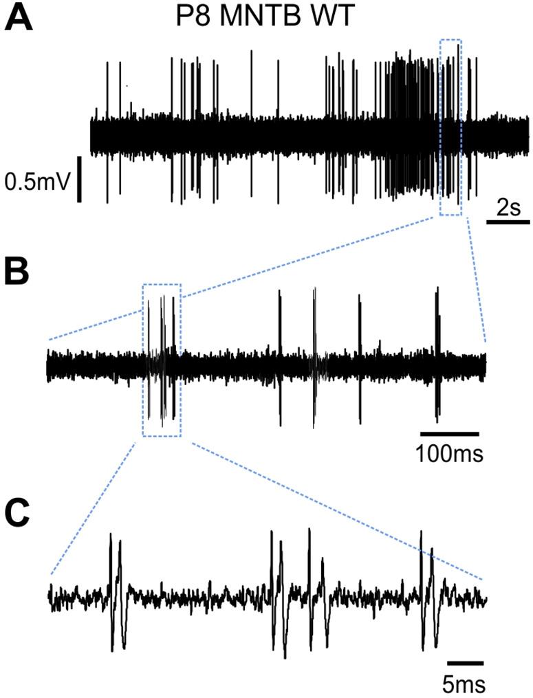 https://cdn.ncbi.nlm.nih.gov/pmc/blobs/7989/8871368/06bc378552e0/elife-72251-fig2-figsupp1.jpg