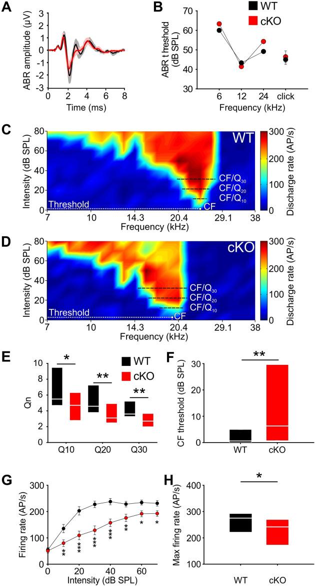 https://cdn.ncbi.nlm.nih.gov/pmc/blobs/7989/8871368/8b3ebb473977/elife-72251-fig4.jpg