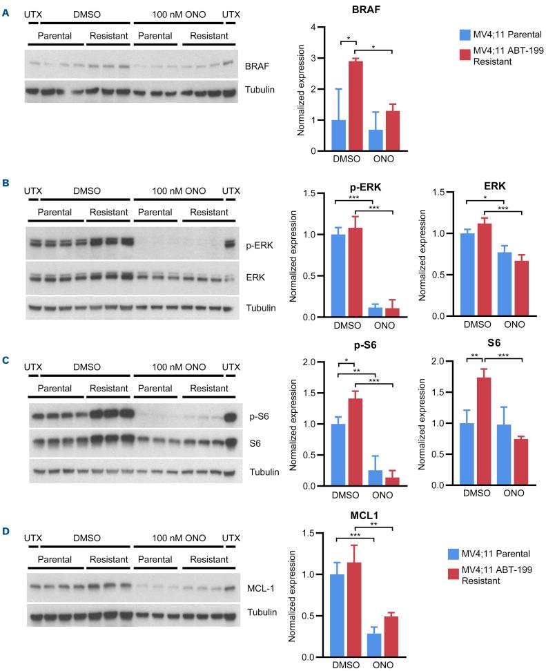 https://cdn.ncbi.nlm.nih.gov/pmc/blobs/79a1/9152975/076765c2b514/1071311.fig3.jpg
