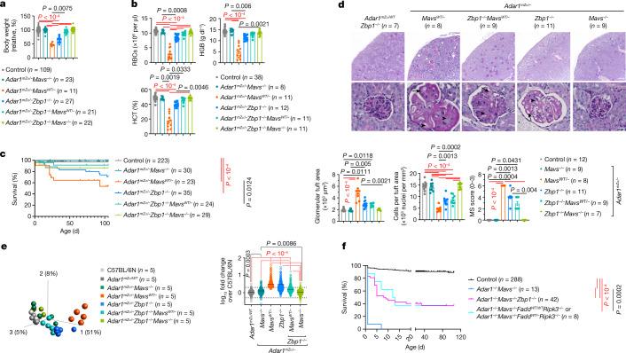 https://cdn.ncbi.nlm.nih.gov/pmc/blobs/79b1/9329096/a28eb0fe1af6/41586_2022_4878_Fig2_HTML.jpg