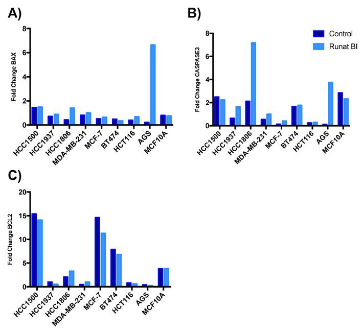 https://cdn.ncbi.nlm.nih.gov/pmc/blobs/79cb/9817854/0c0988443c3b/cancers-15-00069-g005.jpg