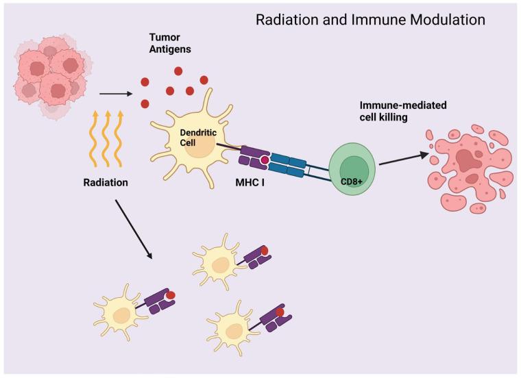 https://cdn.ncbi.nlm.nih.gov/pmc/blobs/79d0/11353073/3931f9f200ce/cancers-16-02919-g002.jpg