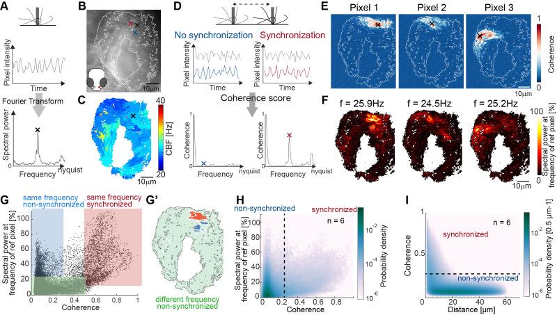 https://cdn.ncbi.nlm.nih.gov/pmc/blobs/79e3/9940908/340ce18ce6c4/elife-77701-fig2.jpg