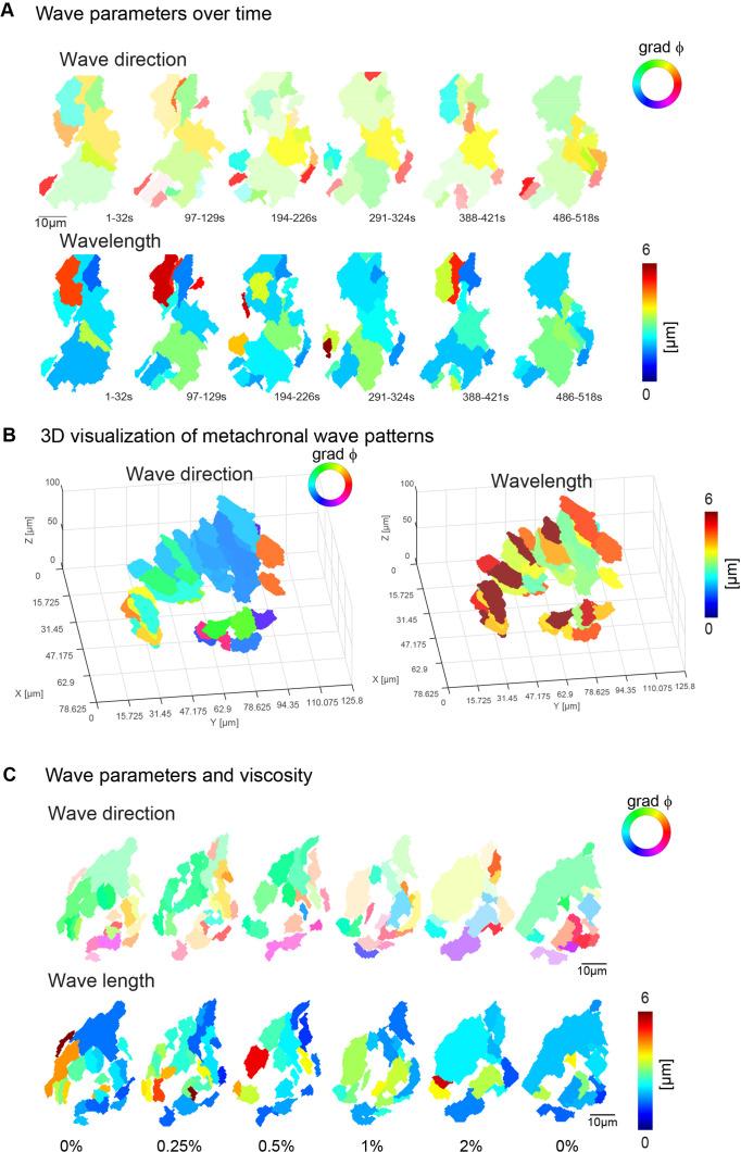 https://cdn.ncbi.nlm.nih.gov/pmc/blobs/79e3/9940908/520094677fd4/elife-77701-fig4-figsupp1.jpg