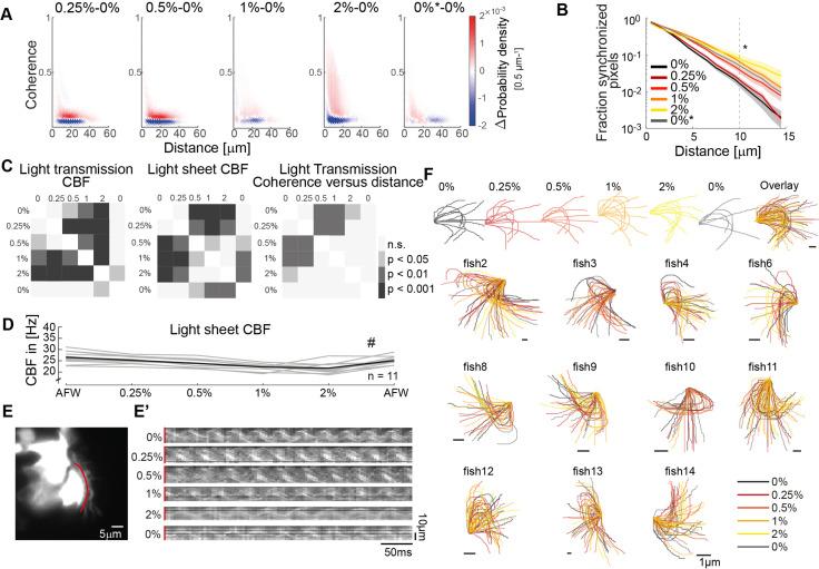 https://cdn.ncbi.nlm.nih.gov/pmc/blobs/79e3/9940908/f9d1afdb4143/elife-77701-fig3-figsupp1.jpg