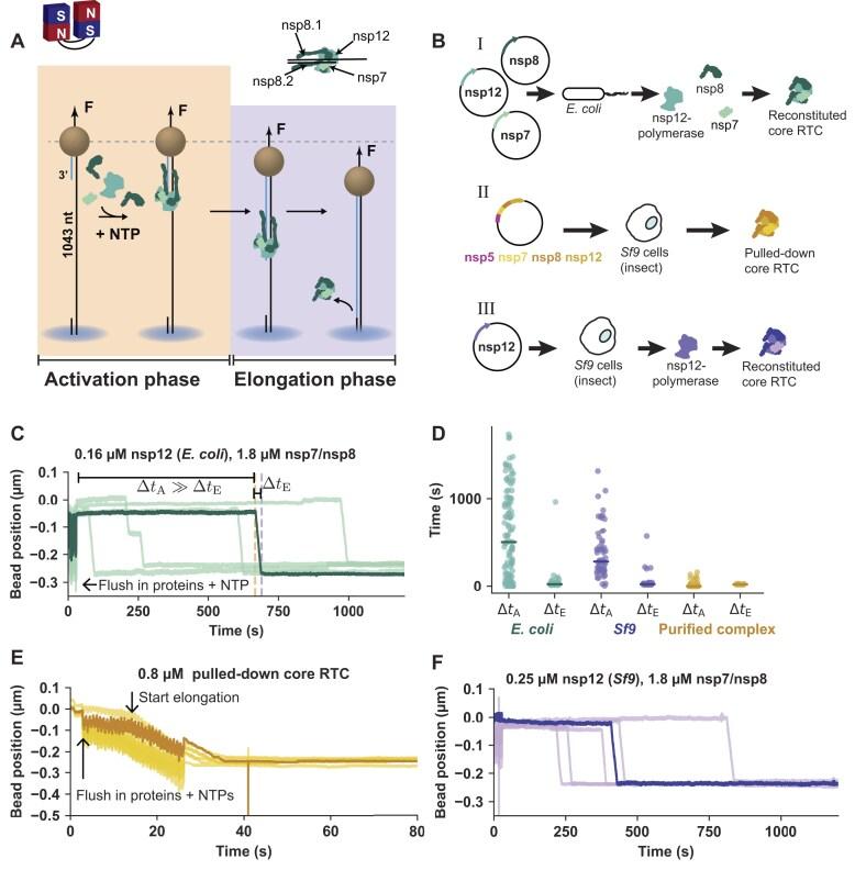 https://cdn.ncbi.nlm.nih.gov/pmc/blobs/79eb/12135201/71cf37d41ff4/gkaf450fig1.jpg