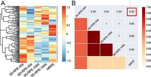 https://cdn.ncbi.nlm.nih.gov/pmc/blobs/79f3/5008403/f383fa335411/oncotarget-07-22819-g003.jpg