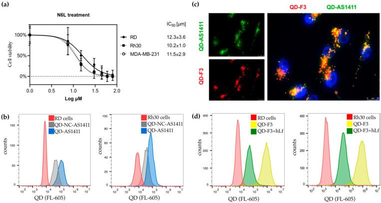 https://cdn.ncbi.nlm.nih.gov/pmc/blobs/79f7/9600270/82e1a3e3e8a7/cancers-14-05048-g005.jpg