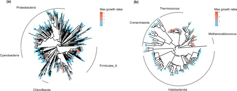 https://cdn.ncbi.nlm.nih.gov/pmc/blobs/79f8/12059116/f38c914f4fd4/41467_2025_59558_Fig1_HTML.jpg