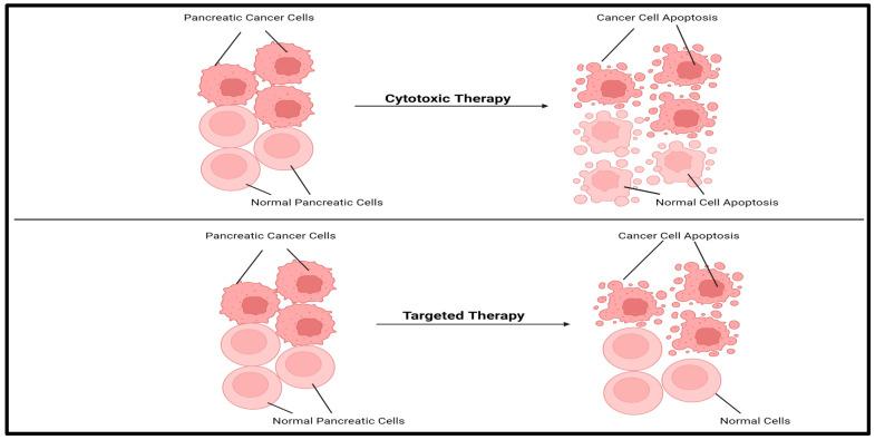 https://cdn.ncbi.nlm.nih.gov/pmc/blobs/7a03/12025738/5b39f08f7425/cancers-17-01319-g005.jpg