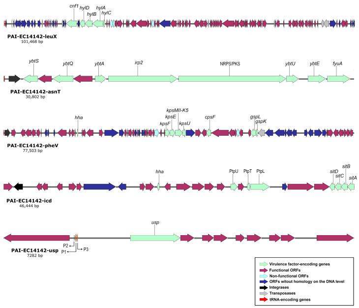 https://cdn.ncbi.nlm.nih.gov/pmc/blobs/7a09/9686529/1d71be1c33d8/antibiotics-11-01620-g002.jpg