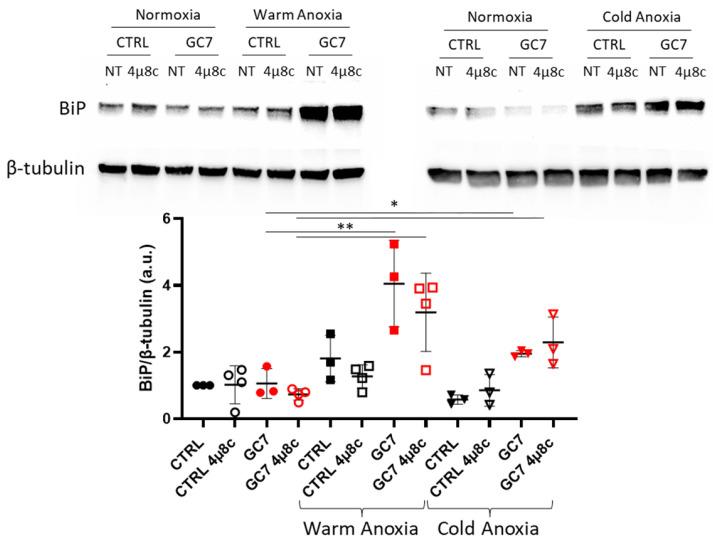 https://cdn.ncbi.nlm.nih.gov/pmc/blobs/7a09/9913814/0c3b922c401a/cells-12-00409-g007.jpg