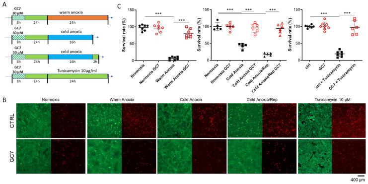 https://cdn.ncbi.nlm.nih.gov/pmc/blobs/7a09/9913814/98709e397886/cells-12-00409-g001.jpg
