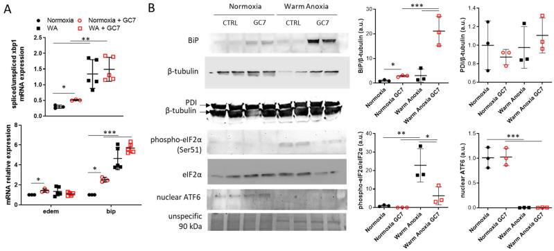 https://cdn.ncbi.nlm.nih.gov/pmc/blobs/7a09/9913814/c29240e20b0b/cells-12-00409-g003.jpg