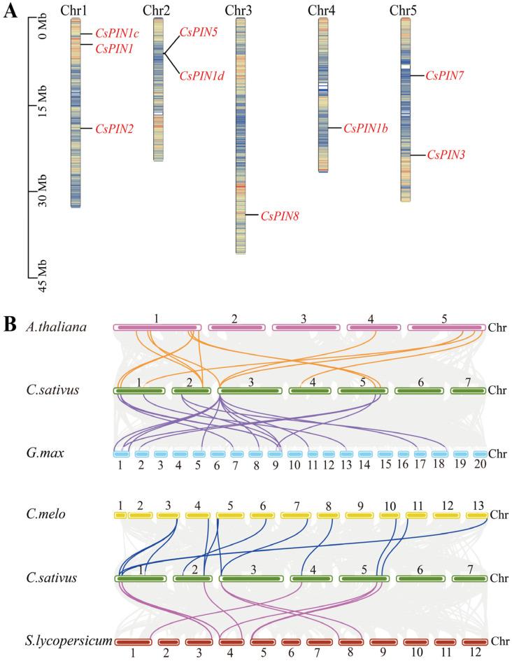 https://cdn.ncbi.nlm.nih.gov/pmc/blobs/7a0b/12157137/08df92d42f33/plants-14-01566-g002.jpg