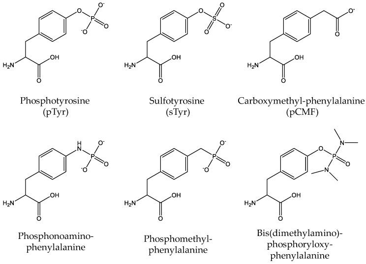 https://cdn.ncbi.nlm.nih.gov/pmc/blobs/7a12/6100177/0f7efffe6e3c/molecules-23-01662-g007.jpg